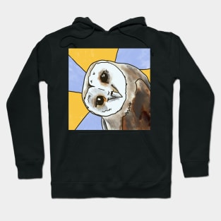 Barn Owl Hoodie